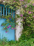 DSCN4770