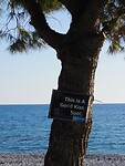 DSCN4867