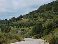 DSCN4881