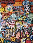 DSCN4906