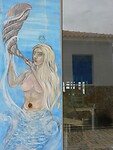 DSCN4913