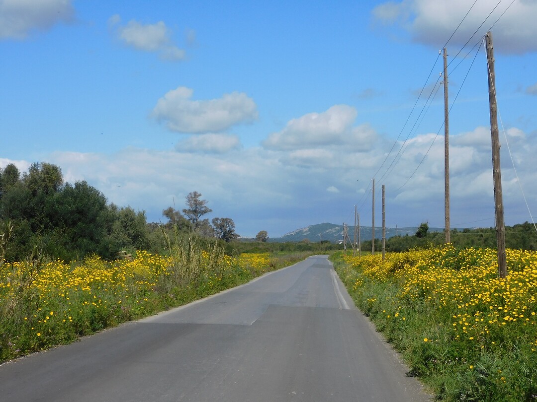 Op weg naar Marathopoli….