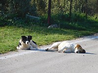 DSCN5517