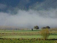 DSCN5525