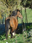 DSCN5527