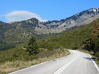 DSCN5529