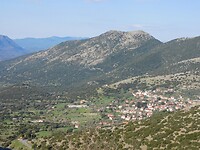 DSCN5542
