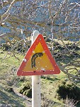 Ze schieten op verkeersborden…..