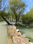 DSCN5568