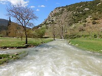 DSCN5573