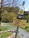 DSCN5574