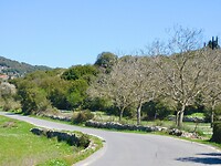 DSCN5657