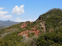 DSCN5663