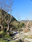 DSCN5712