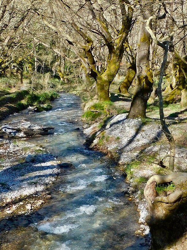 Overal water….
