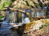 DSCN5730