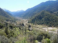 DSCN5773