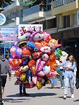 DSCN5924
