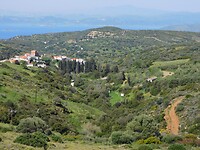 DSCN6013