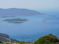 DSCN6029