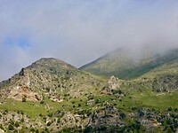 DSCN6103