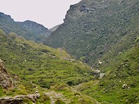 DSCN6111