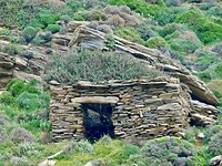 DSCN6122