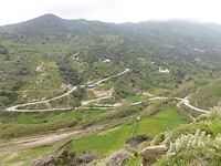 DSCN6131