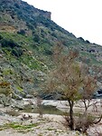 DSCN6186