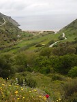 DSCN6202