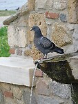 DSCN6228