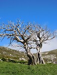 DSCN6298