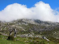 DSCN6300