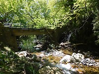 DSCN6338