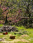 Een liftje voor het hout om omhoog te takelen…..