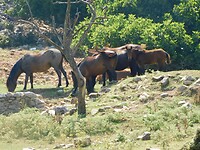 RSCN7456