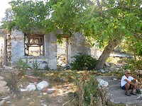 DSCN7394