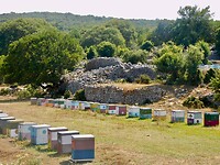 DSCN7396