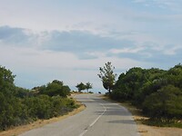 DSCN7667