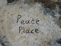 DSCN7687