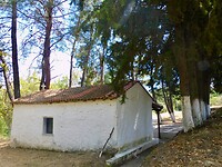DSCN7693