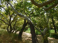 DSCN7697