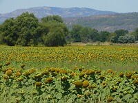 DSCN7763