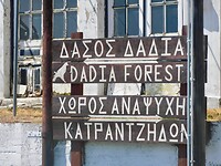DSCN7767