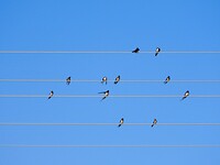 DSCN7778