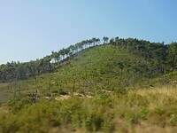 DSCN7782