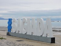 DSCN9296