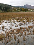 Kalamas Delta….moerasgebied