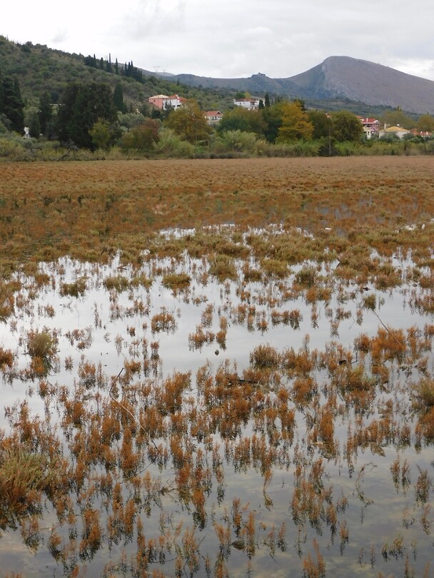 Kalamas Delta….moerasgebied