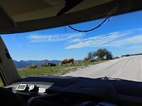 DSCN9344